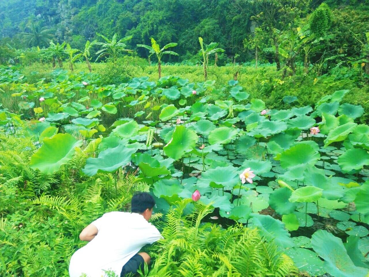 Sunny Trang An Homestay Ninh Binh Luaran gambar